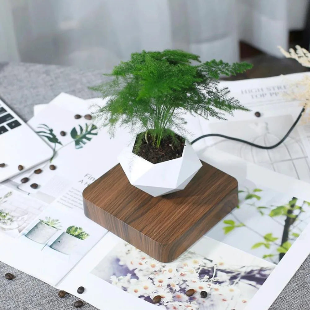 MagLev BonsaïPot™ Rotatif – Pot Bonsaï Flottant & Rotatif, Lévitation Magnétique, Décoration Maison