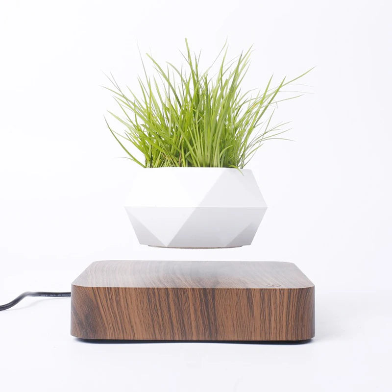 MagLev BonsaïPot™ Rotatif – Pot Bonsaï Flottant & Rotatif, Lévitation Magnétique, Décoration Maison