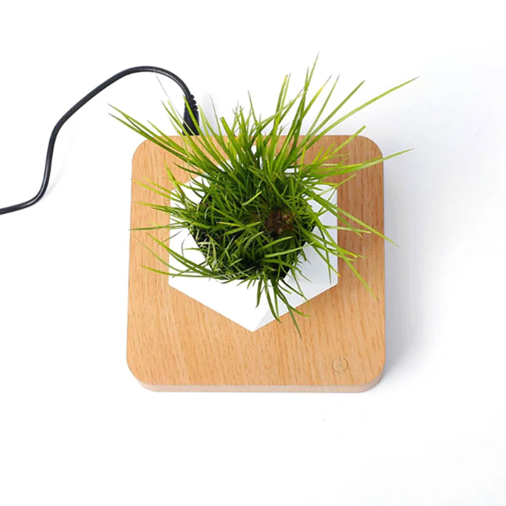 MagLev BonsaïPot™ Rotatif – Pot Bonsaï Flottant & Rotatif, Lévitation Magnétique, Décoration Maison