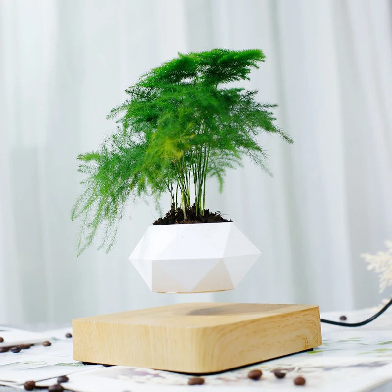 MagLev BonsaïPot™ Rotatif – Pot Bonsaï Flottant & Rotatif, Lévitation Magnétique, Décoration Maison