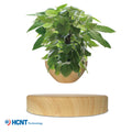 MagLev FloatPot™ – Pot Flottant à Lévitation Magnétique, Décoration Maison & Bureau, Idée Cadeau Unique