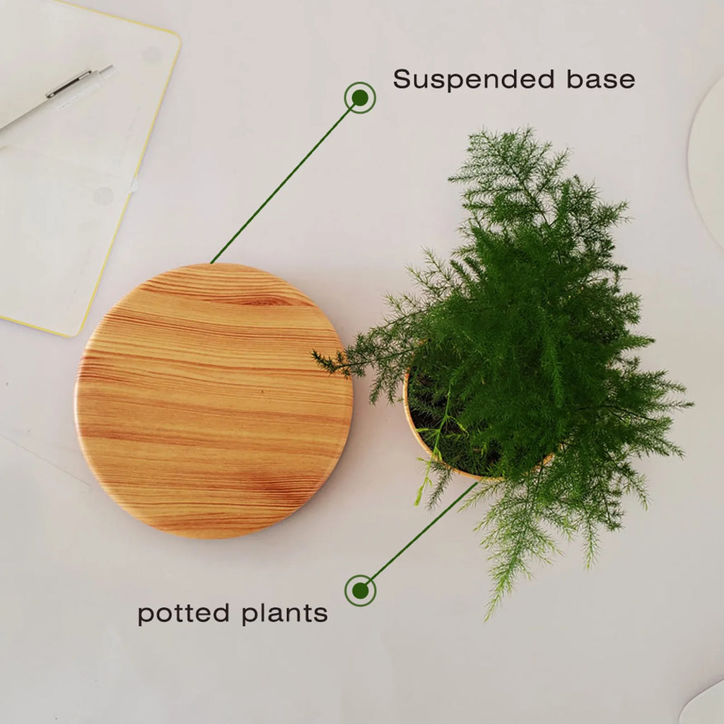 MagLev FloatPot™ – Pot Flottant à Lévitation Magnétique, Décoration Maison & Bureau, Idée Cadeau Unique
